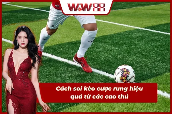 Nắm trọn cách soi kèo rung đơn giản và hiệu quả