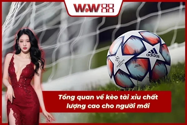 Tìm hiểu về kèo cược tài xỉu cho người nhập môn